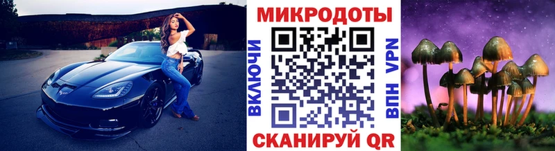 наркошоп  Зубцов  Галлюциногенные грибы мухоморы 